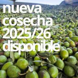 ESENCIAL SERIE LIMITADA 500 ML