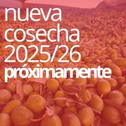 ESENCIAL PICUAL 500 ML