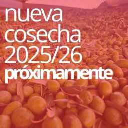 ESENCIAL PICUAL 500 ML